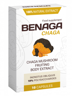 Benaga Chaga