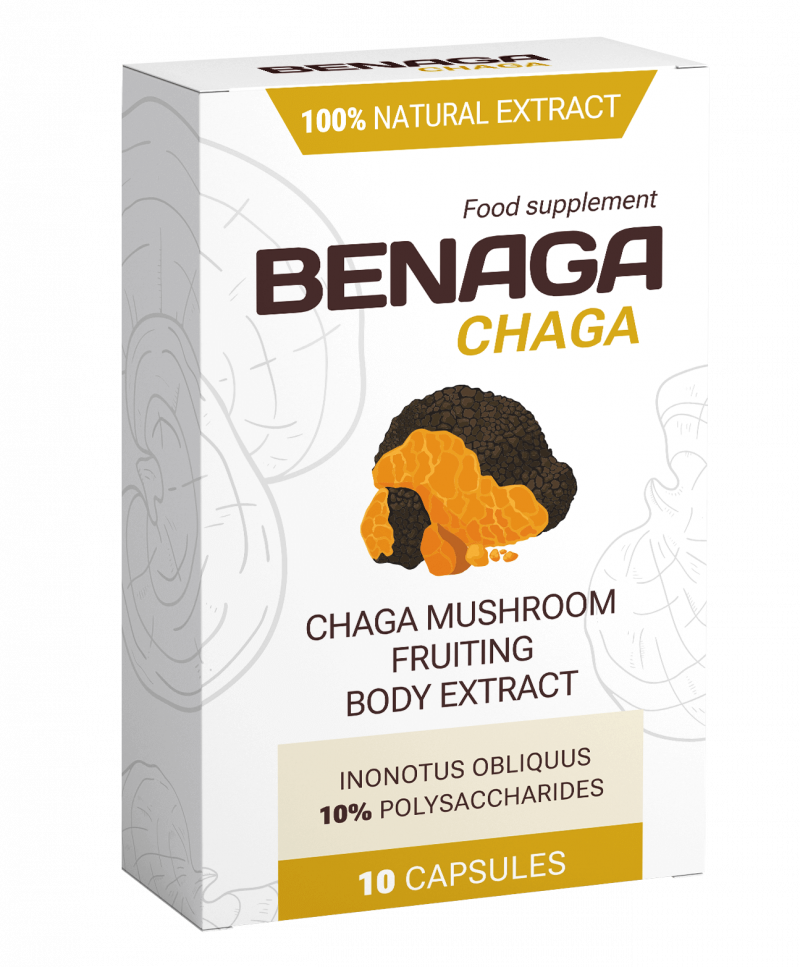 Benaga Chaga